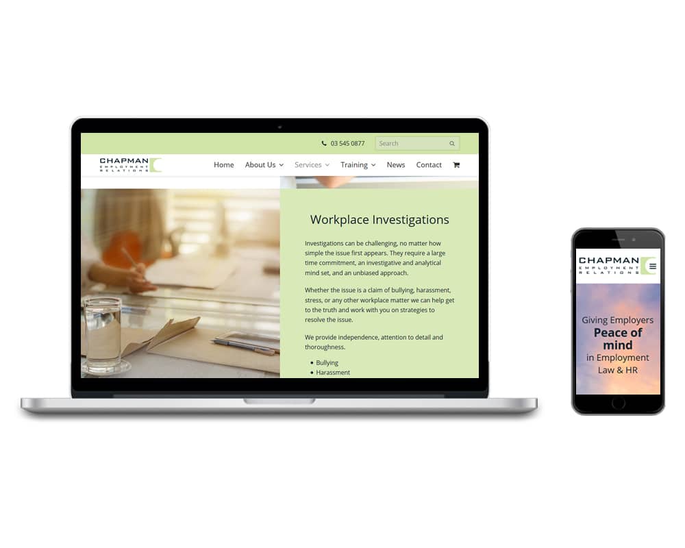 Image of Chapman ER website designed by Slightly Different Ltd