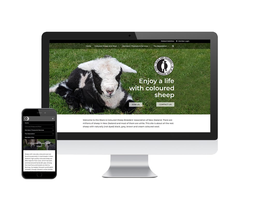 Coloured Sheep website shown on a computer and cell phone
