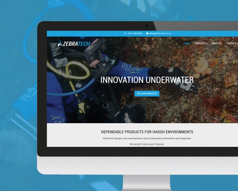 Zebratech website by Slightly Different Ltd